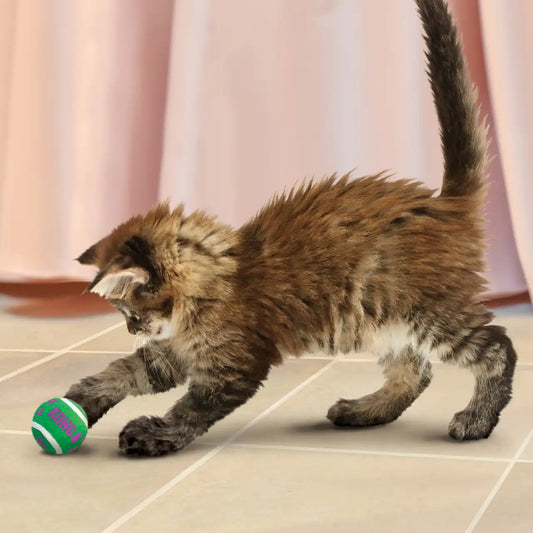 Cat Active Tennis Balls w/Bells